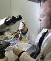 Professor Anders Lade Nielsen.