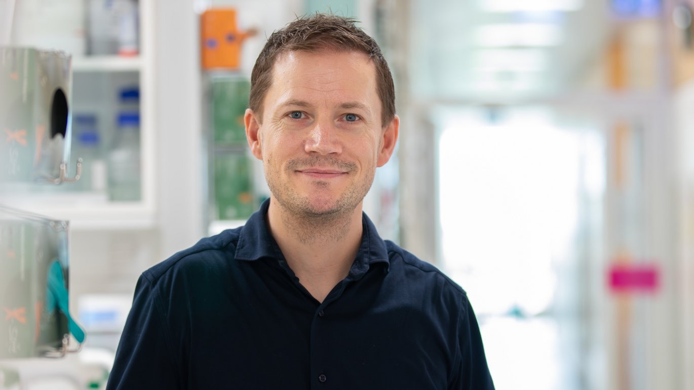 With a grant from the Job Research Foundation, Rasmus O. Bak and his research colleagues hope to improve treatment of Job Syndrome and perhaps even find a cure for it.
