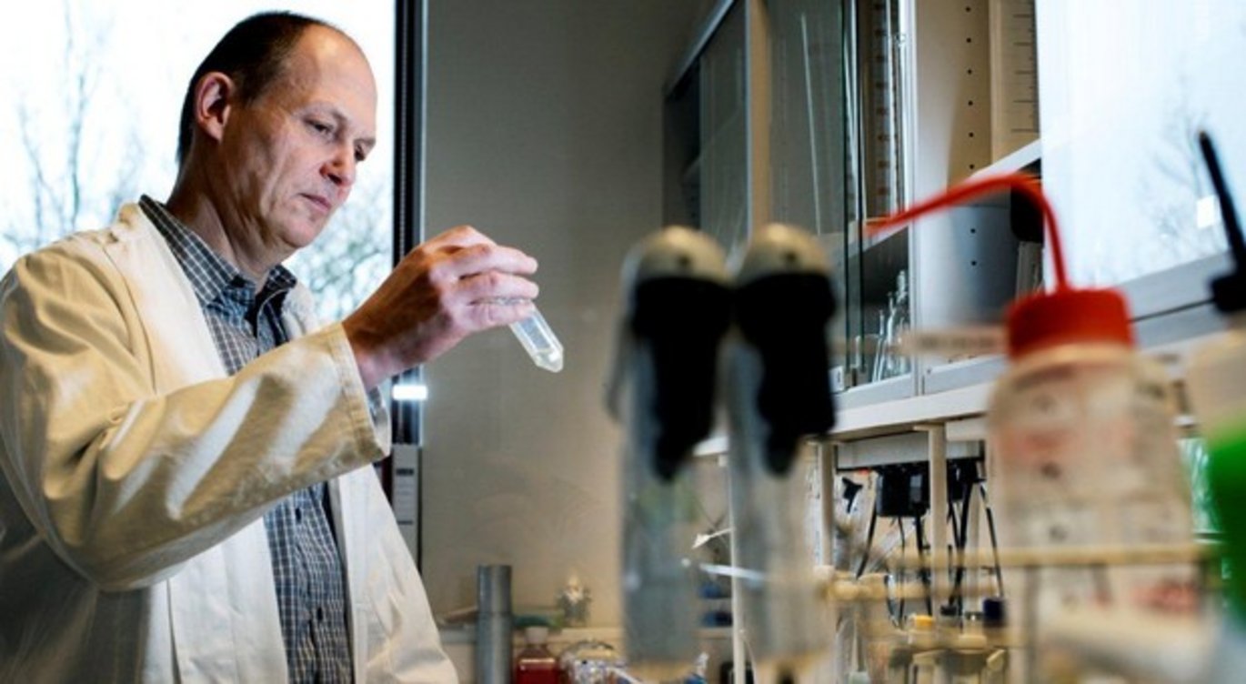 Modtager af Novo Nordisk Prisen 2013 professor, dr.med. Søren Kragh Moestrup, Aarhus Universitet, Institut for Biomedicin