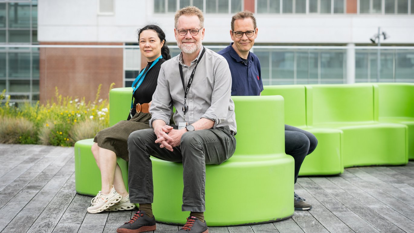 Around 250,000 Danes are estimated to suffer from some degree of atherosclerosis. Researchers are now examining how abnormal fat accumulation in the blood vessels is linked to the progression of the disease. Around 250,000 Danes are estimated to suffer from some degree of atherosclerosis. Researchers are now examining how abnormal fat accumulation in the blood vessels is linked to the progression of the disease.