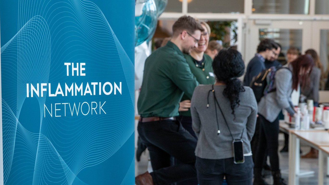 The Inflammation Network at Health will hold its 6th international annual meeting on Thursday, 12 March 2026, at Aarhus University Hospital.