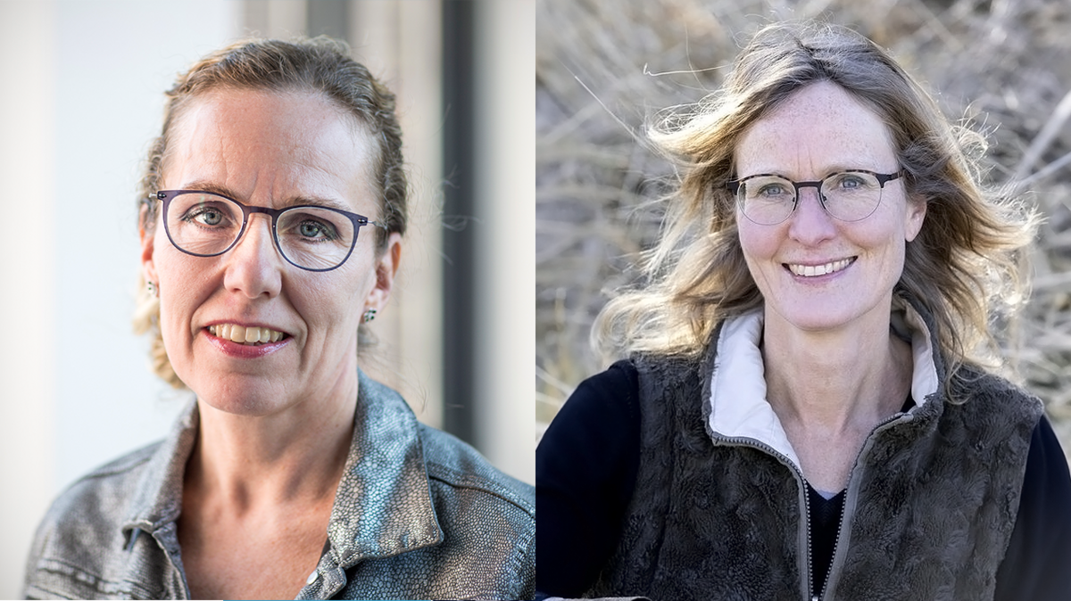 Initiativtagerne til netværket er professor og statsobducent Lene Warner Thorup Boel og professor Kari Tanderup.