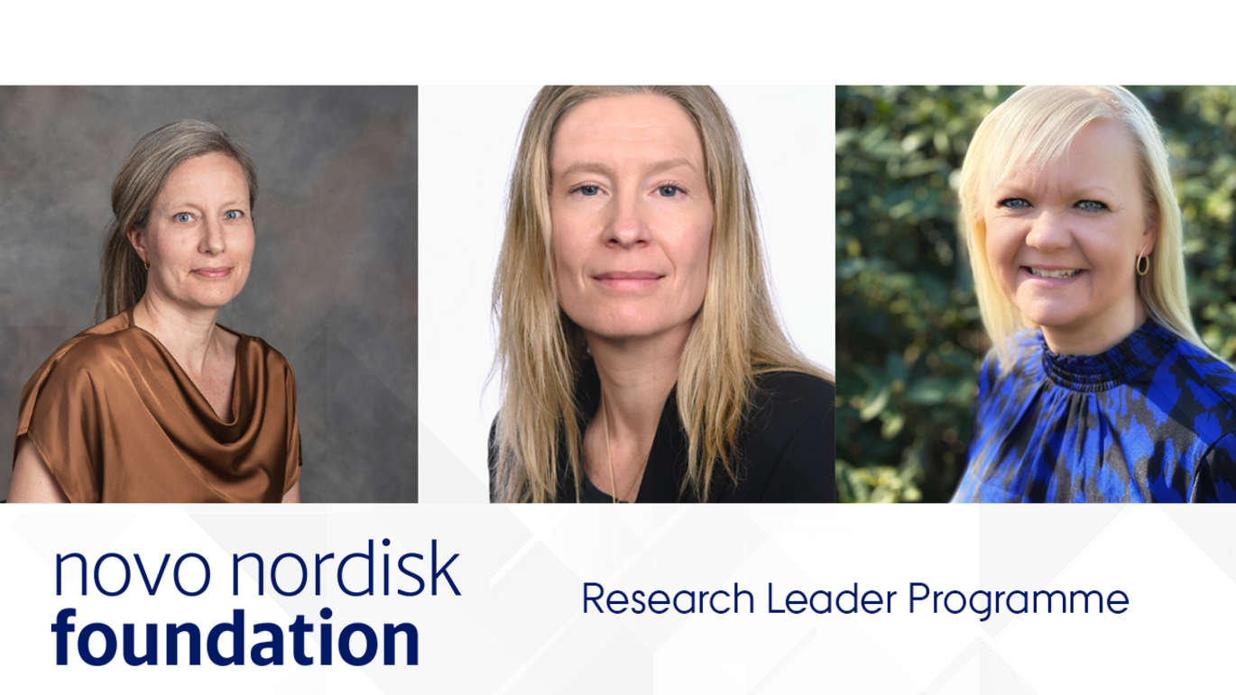 The Novo Nordisk Foundation awards a total of 37 grants of up to DKK 10 million. 