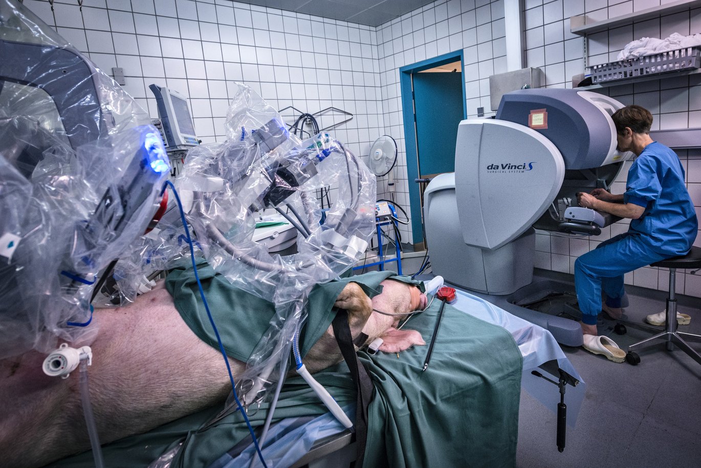 Fejde jubilæum erklære Surgical robot only for pigs