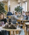 The elective course Healthy Innovation strengthens students’ competencies in idea development, interdisciplinary collaboration, and innovative solutions within the healthcare sector.
