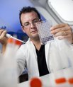 Blandt 179 ansøgninger har FSS valgt at imødekomme fem til Health-forskere ved Aarhus Universitet. De har nu modtaget individuelle postdoc-stipendier og bevillinger på i alt knap 11 millioner kroner.