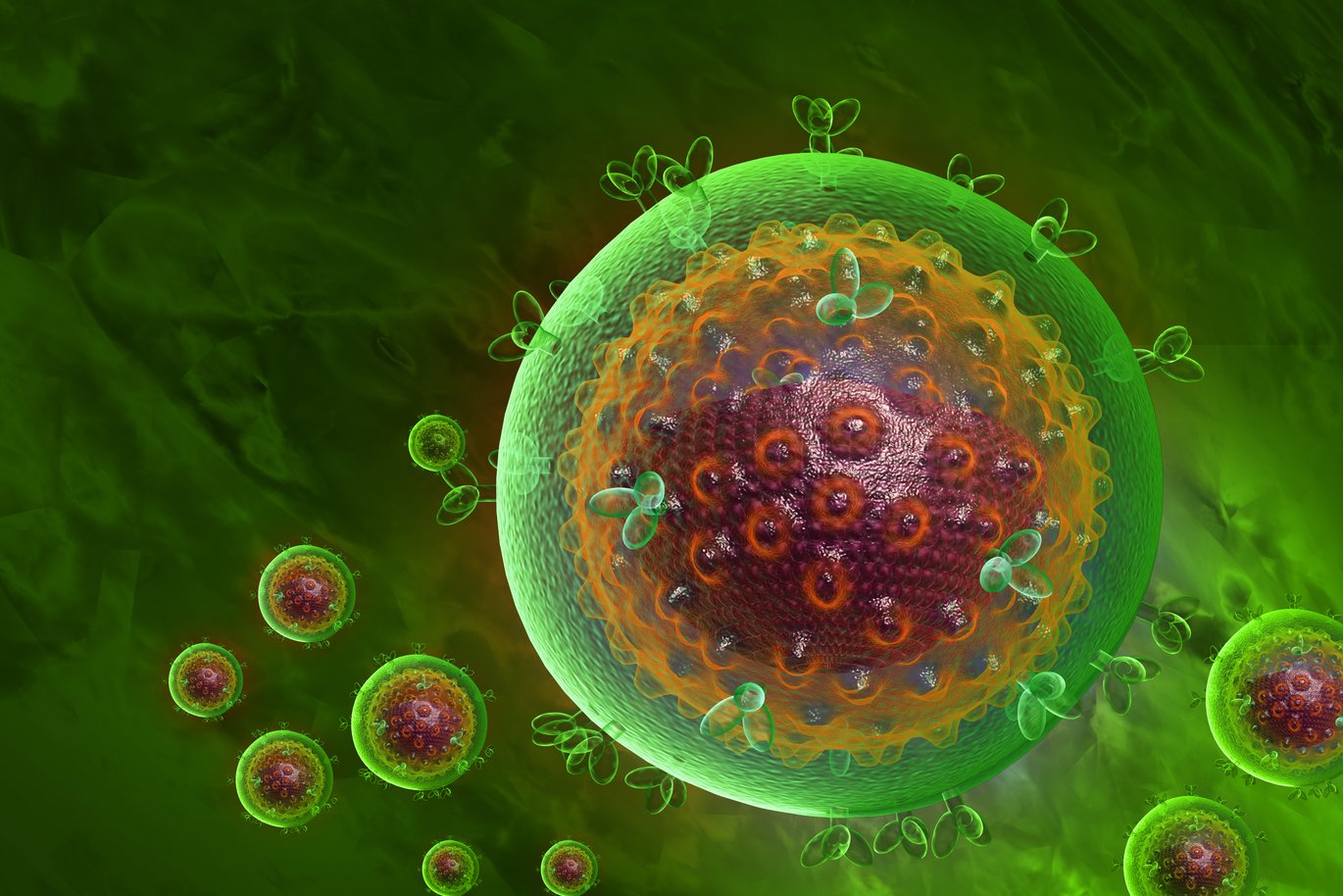 Det er lykkedes forskere at tvinge hiv-bærende immunceller ud af deres dvale-tilstand, hvilket er en forudsætning for, at immunforsvaret kan nedkæmpe dem. Det er lykkedes forskere at tvinge hiv-bærende immunceller ud af deres dvale-tilstand, hvilket er en forudsætning for, at immunforsvaret kan nedkæmpe dem.