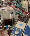 A perfusionist is responsible for the heart-lung machine, which maintains the patient’s circulation and oxygenation during open-heart surgery.