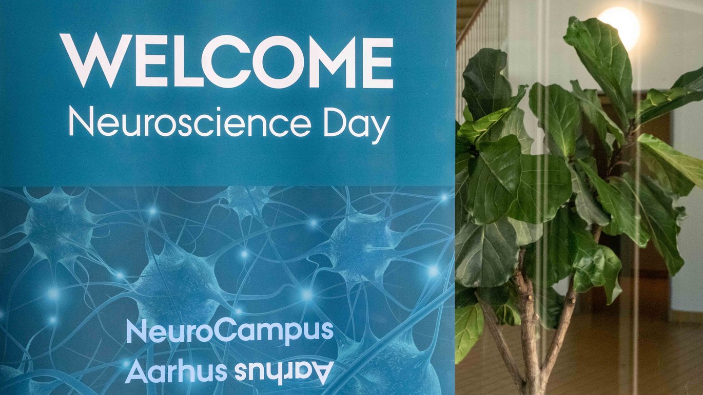 Forskere og andre interesserede samles til Neuroscience Day for at dele ny viden og styrke samarbejdet inden for neurovidenskab og kræftforskning.
