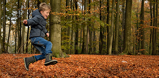 Boy plays in the woods, photo: colourbox